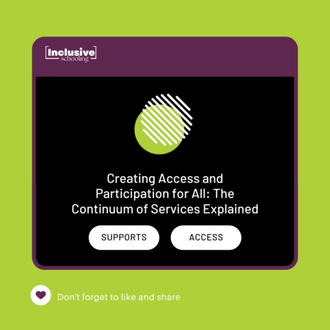 Creating Access and Participation for All: The Continuum of Services Explained